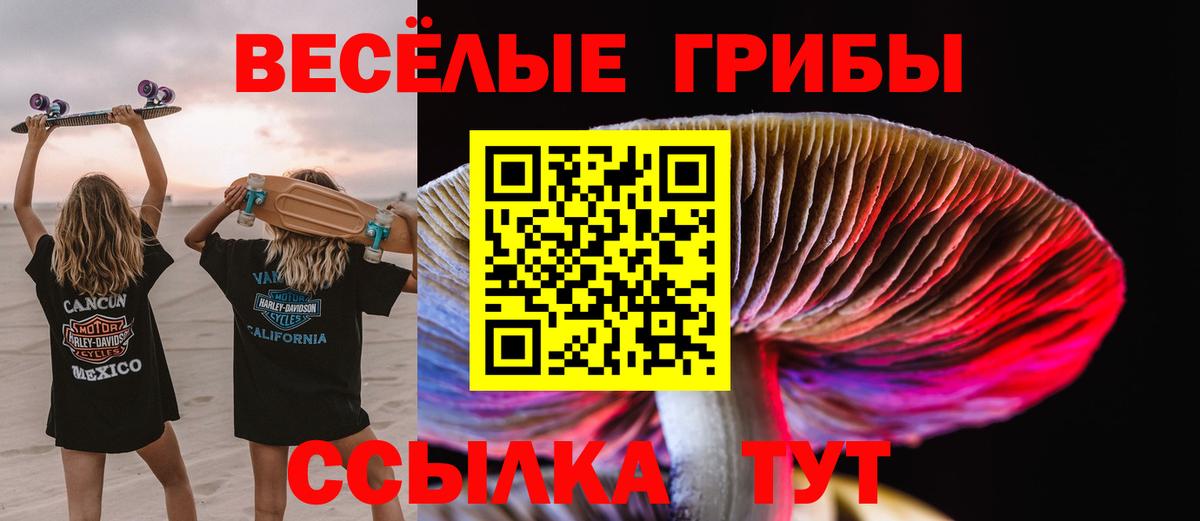 Псилоцибиновые грибы Magic Shrooms  цены наркотик  Лыткарино  Вход с VPN  Псилоцибиновые грибы мицелий 